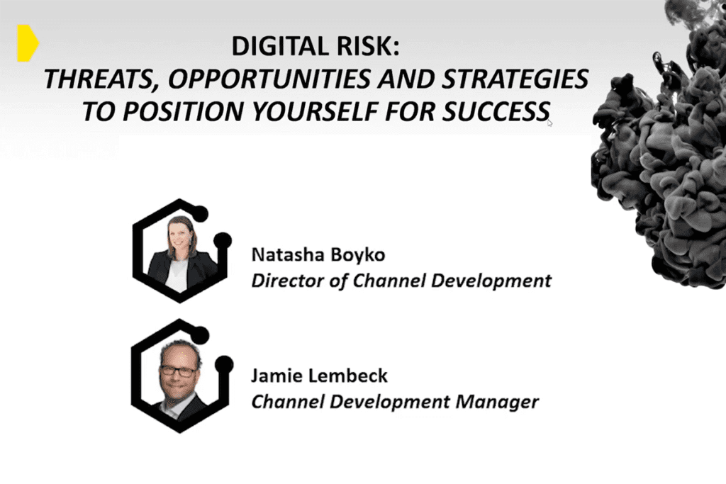 Digital Risk: Threats, Opportunities and Strategies to Position